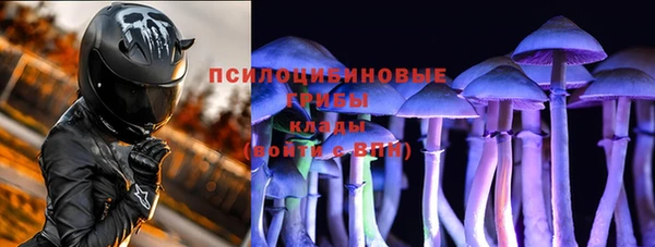 шишки Алексеевка