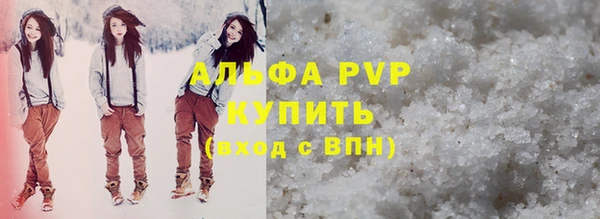 стафф Алексин