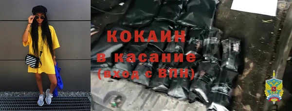стафф Алексин