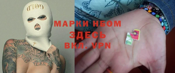 стафф Алексин