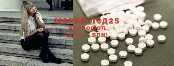 стафф Алексин