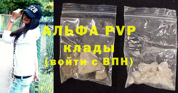 стафф Алексин