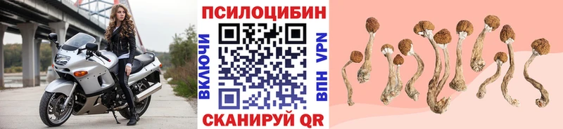 Галлюциногенные грибы мицелий omg ссылка Катав-Ивановск